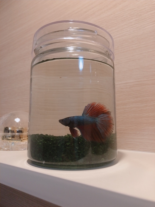 D45D9C2C-B1A2-4B62-A1C9-D6B3A9DCFEB3