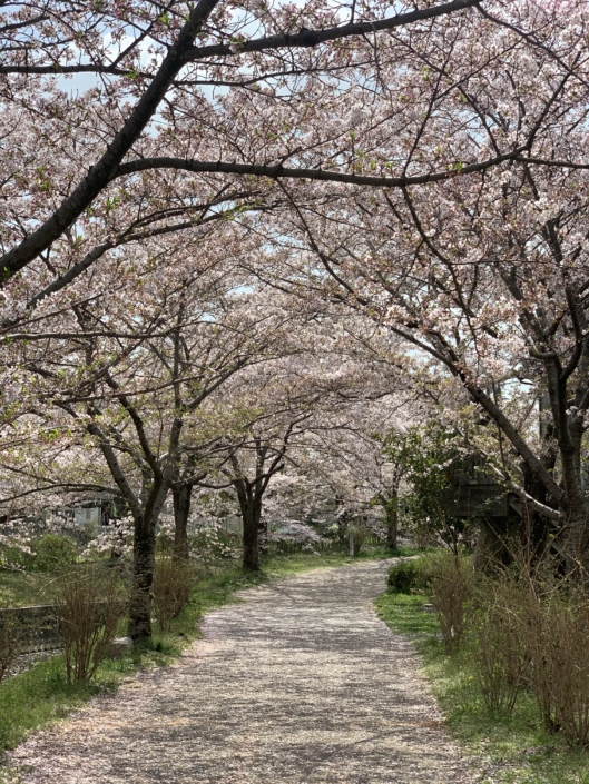 3D7C32B5-2BBA-4186-9728-D9116ADA3A87